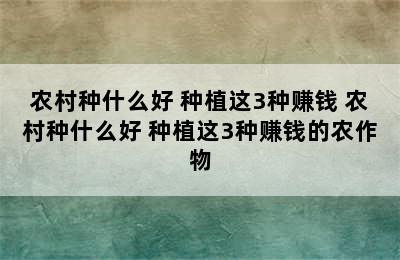 农村种什么好 种植这3种赚钱 农村种什么好 种植这3种赚钱的农作物